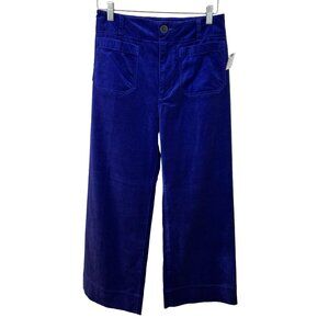 Anthropologie Colette Purple Indigo Velvet Pants Size 28 NWT